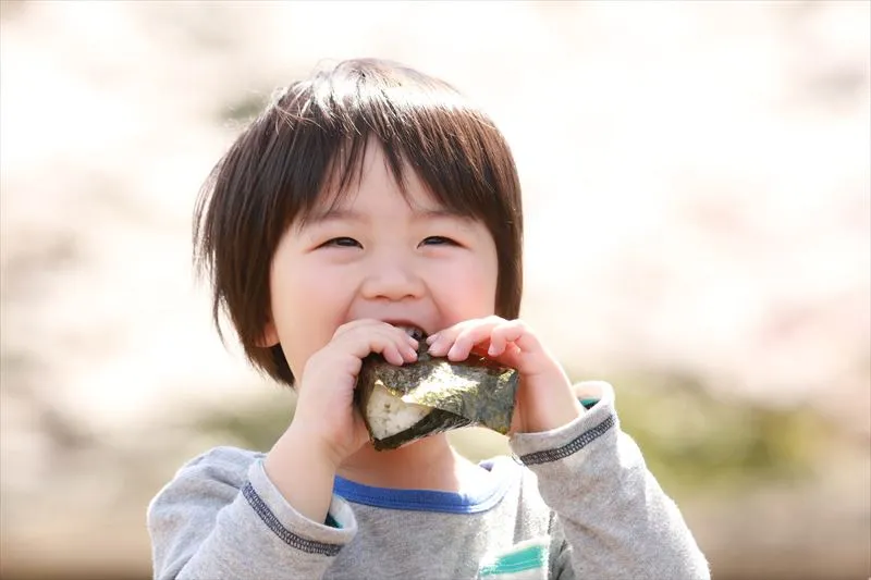 子供向けの弁当を選ぶ際のポイントとは