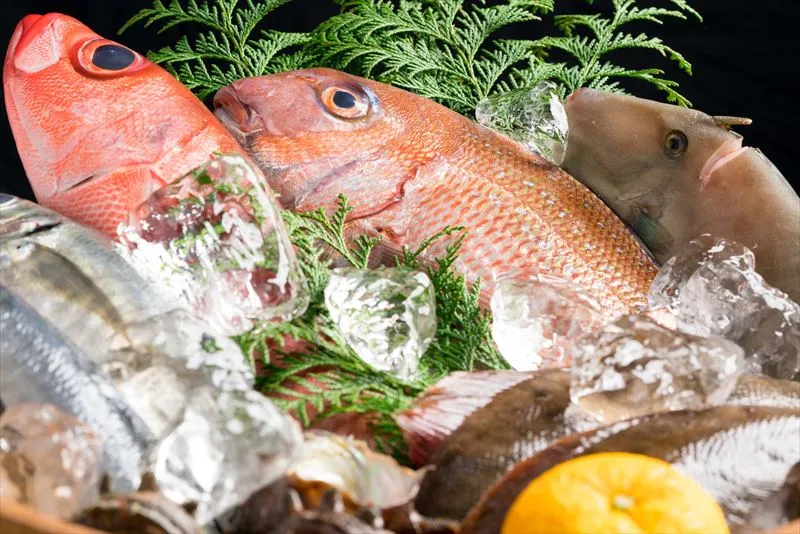 新鮮な魚の魅力とは