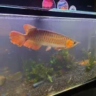 系列店紹介
